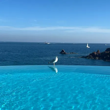 Dans Pieds Dans L'eau Appartement Saint-Raphaël